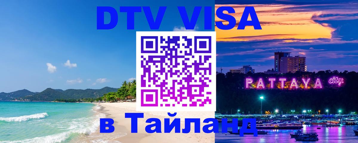 Оформление DTV визы под ключ: стоимость и тарифы, только загранпаспорт - 